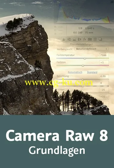 Camera Raw 8 – Grundlagen Einstellungen, Werkzeuge und Funktionen des Raw-Converters的图片2