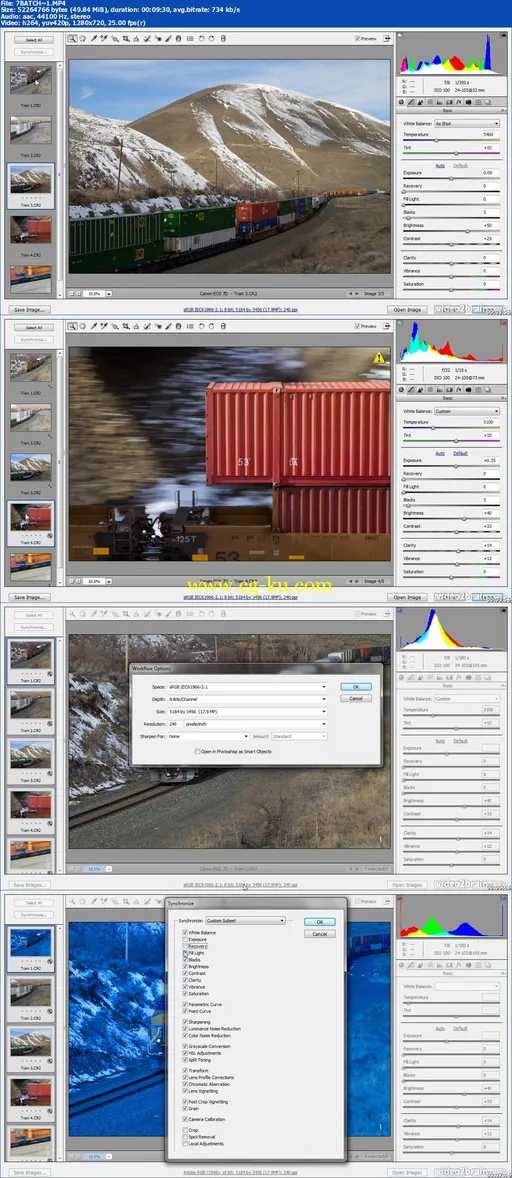 Peachpit Press – Automate Image Editing in Adobe Photoshop CS5 Learn by Video的图片1