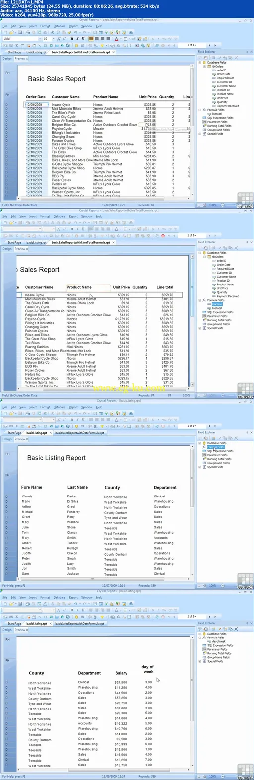 InfiniteSkills – Crystal Reports 2008 Fundamentals的图片1