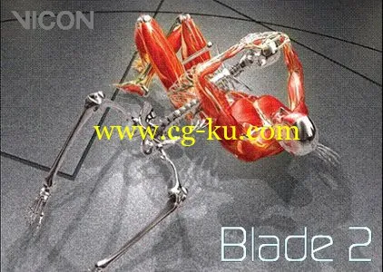 Vicon Blade 2.0 运动捕捉系统的图片1