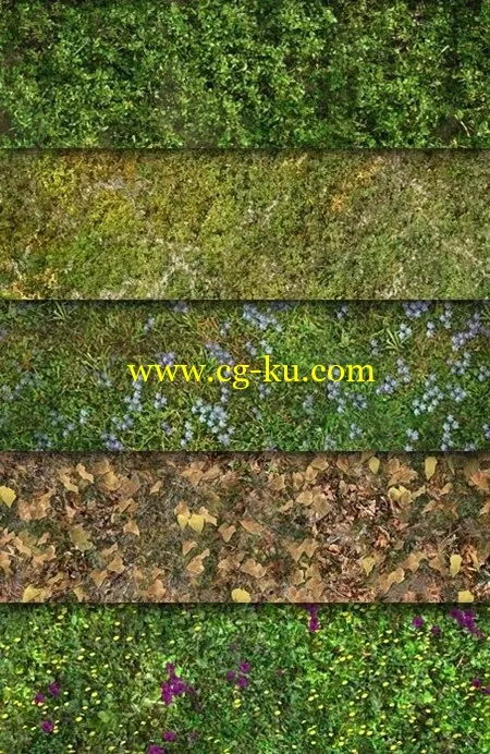 Ground and Grass texture 草地纹理的图片1