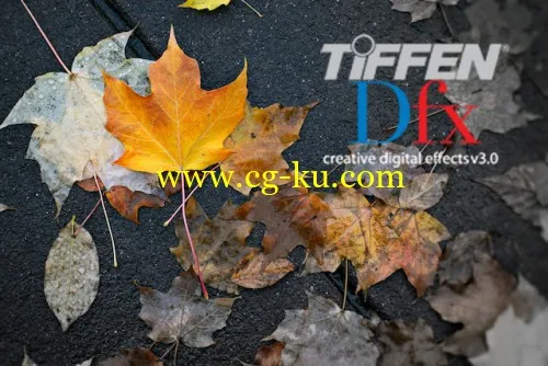 DFT: Tiffen Dfx v3.0.10.4 CE WiN/MacOSX的图片1