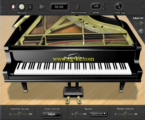 Acoustica Pianissimo v1.012的图片1