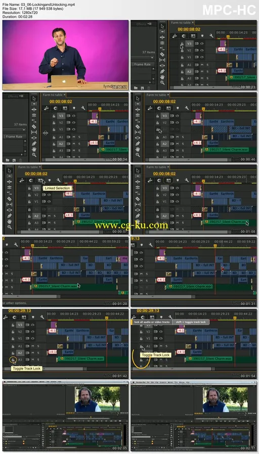 Lynda – Premiere Pro Guru: Mastering the Timeline的图片2