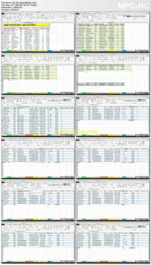 Lynda – Setting Up a Database in Excel 2013的图片2