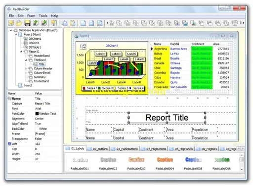 Longtion RadBuilder 3.5.0.380的图片1