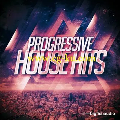 Big Fish Audio Progressive House Hits MULTiFORMAT DVDR-DYNAMiCS的图片1