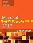 Microsoft.Lync.Server.2013.32bit.64bit.With.SP1-NEWiSO的图片1