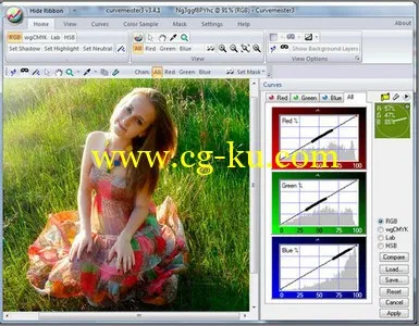 Curvemeister 3.6.0 for Adobe Photoshop x86/x64的图片1