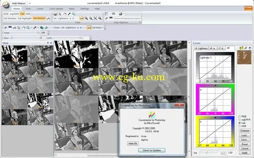 Curvemeister 3.6.0 for Adobe Photoshop x86/x64的图片2