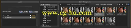 Adobe SpeedGrade CC LS20 Multilingual的图片2