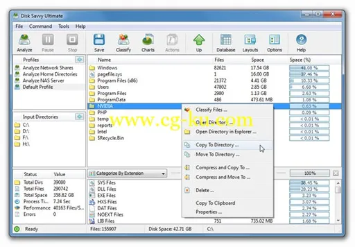 Disk Savvy Pro 6.6.12 (x86/x64)的图片1