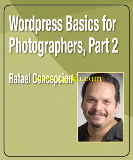 Peachpit Press – WordPress Basics for Photographers Part 2的图片2