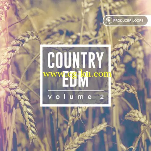 Producer Loops Country EDM Vol 2 MULTiFORMAT-DISCOVER的图片1