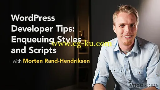 Lynda – WordPress Developer Tips: Enqueuing Styles and Scripts的图片1