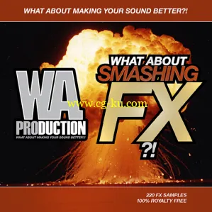 WA Production What About Smashing FX WAV-DISCOVER的图片1