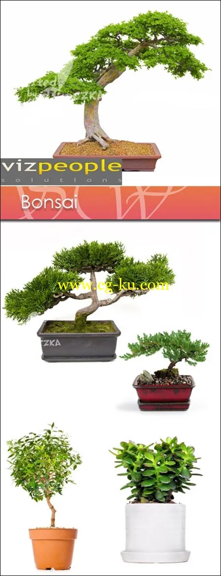 VizPeople – Bonsai 盆景的图片1