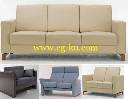 Gray Sofa Collection的图片1