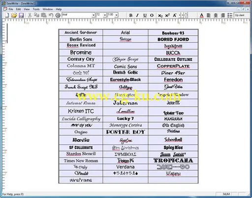 Sandscomputing SewWrite 1.2.6.07092014 x86/x64的图片1