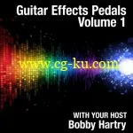 Total Training – Guitar Effects Pedals Volume 1的图片2