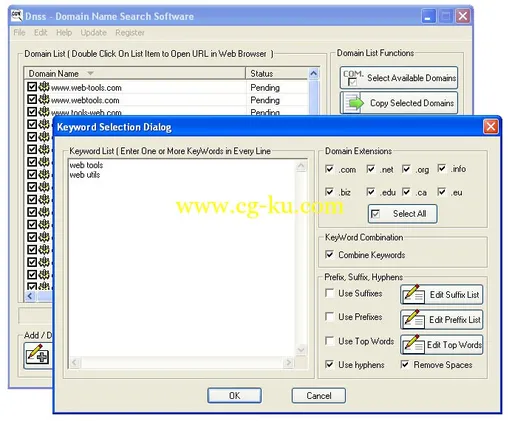 Nsasoft DNSS Domain Name Search Software 2.1.8的图片1