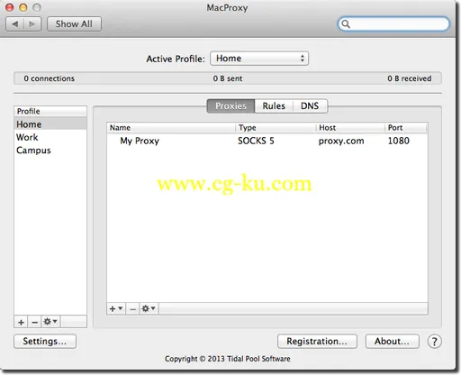 Tidal Pool MacProxy 3.0.7 MacOSX的图片1