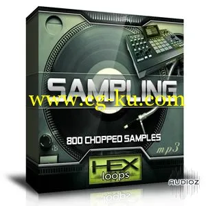 HexLoops Sampling – 800 Chopped Samples的图片1