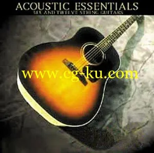 Bigga Giggas Accoustic Essentials Vol.1 KONTAKT的图片1