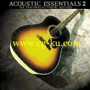 Bigga Giggas Accoustic Essentials Vol.2 KONTAKT的图片1