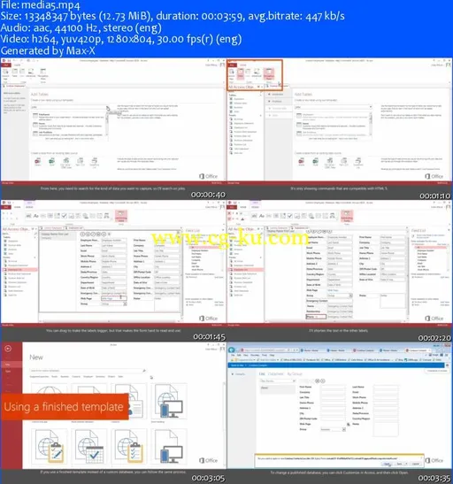 Microsoft E-Learning Applications Office 2013 R2的图片2