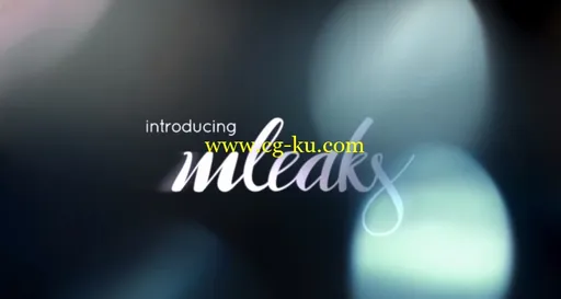 MotionVFX – mLeaks 2K MacOSX的图片1