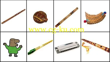 T D Samples Wind Instruments Bundle KONTAKT的图片1