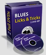 Guitarjamz.com – Blues Licks & Tricks (2 DVD Set)的图片1