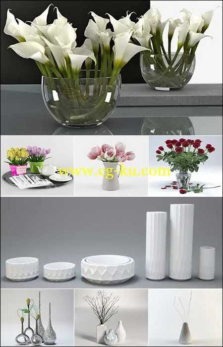 Vase and Flower Collection的图片1