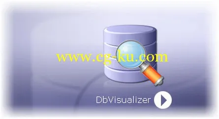 DbVisualizer Pro v9.2.6 Win/Mac/Linux的图片1