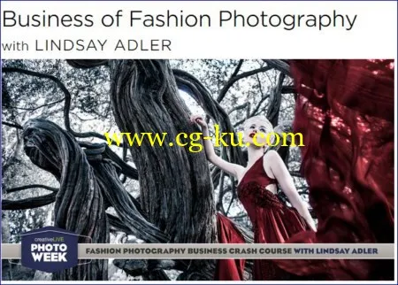 Business of Fashion Photography with Lindsay Adler的图片1