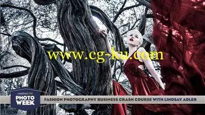 CreativeLIVE – Business of Fashion Photography by Lindsay Adler的图片1