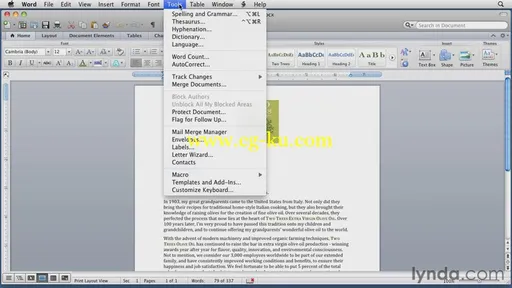 Word for Mac 2011 Essential Training的图片3