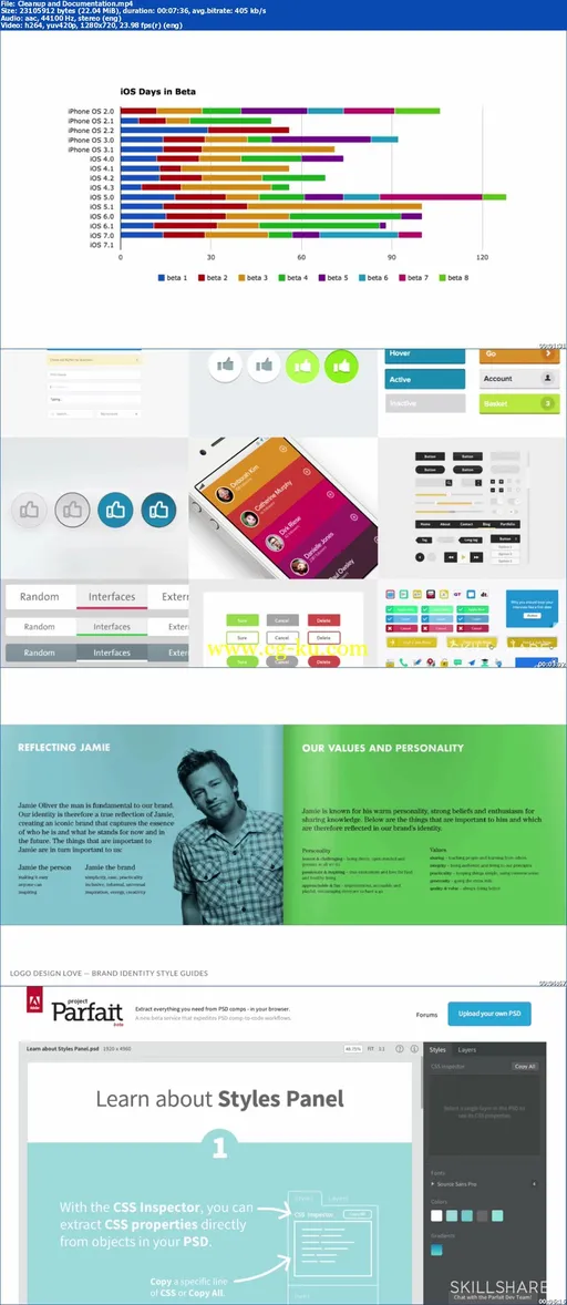 Prototyping for Web II: Visuals for UX and Branding的图片2