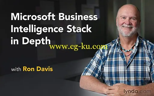 Lynda – Microsoft Business Intelligence Stack in Depth的图片1