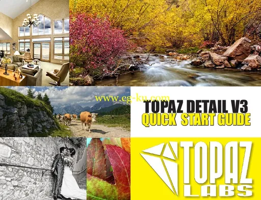 Topaz Detail 3.3.0 MacOSX的图片1