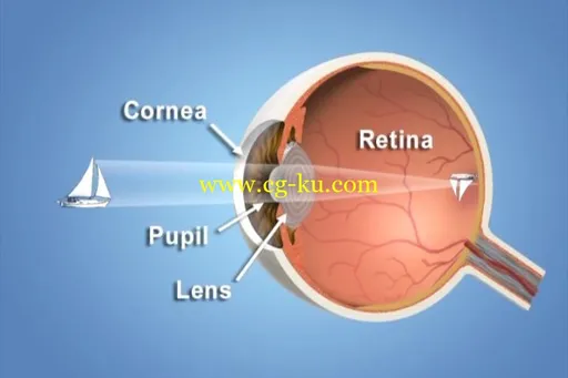 Understanding LASIK and Wavefront Patient Education的图片4