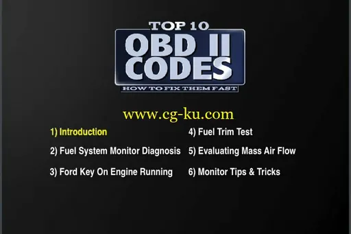 Top Ten OBD II Codes的图片1