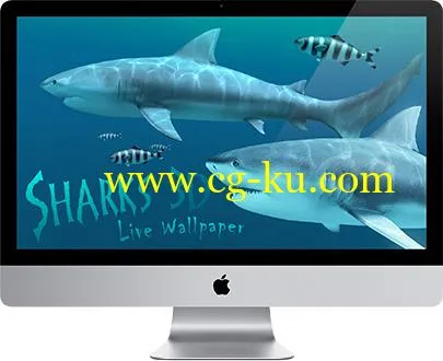 Sharks 3D 1.3.1 Multilingual MacOSX的图片1