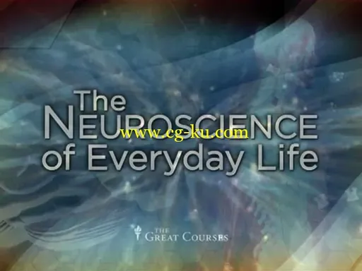 Neuroscience of Everyday Life的图片2