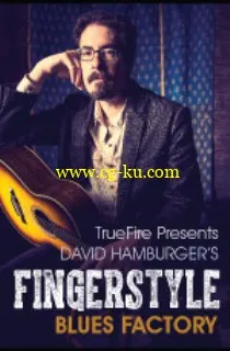 Truefire – David Hamburger’s Fingerstyle Blues Factory (2014)的图片1