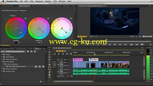 Lynda – Premiere Pro Guru: Video Finishing Techniques的图片1