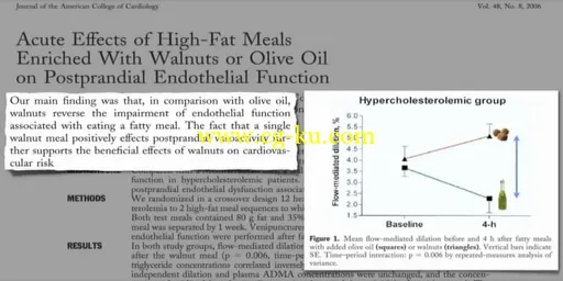 Latest in Clinical Nutrition – Volume 18的图片3