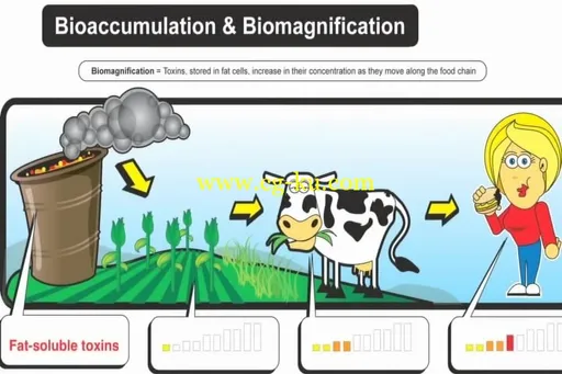 Latest in Clinical Nutrition – Volume 17的图片2