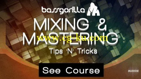 Bassgorilla – Mixing and Mastering – Tips and Tricks的图片1